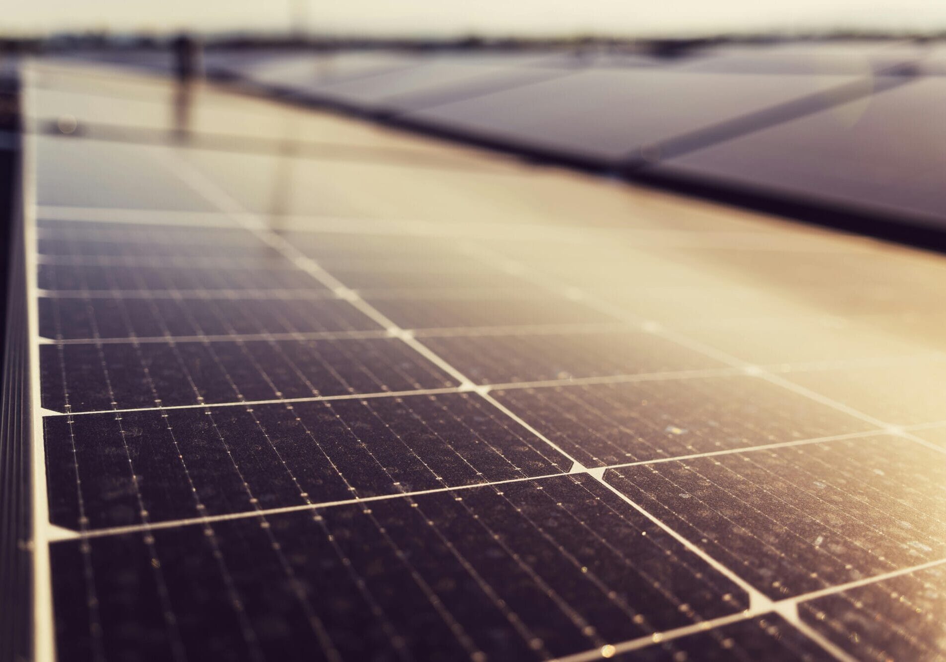 Photo illustrant l'aspect écologique des rénovations entreprises par Ernest pour les habitats partagés